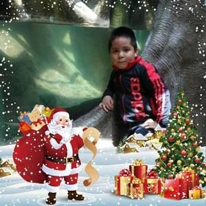 Meet your Posher, Noemi